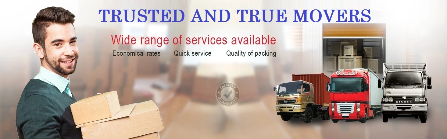 packers and movers all Vadodara